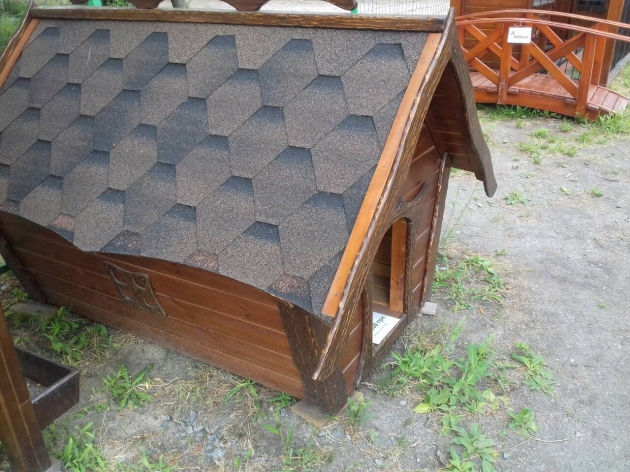Big Kennel (0176)