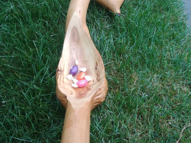 Wooden Bowl PL 008