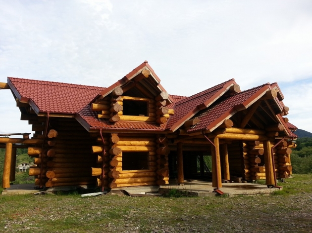 Проєкт NVO 001