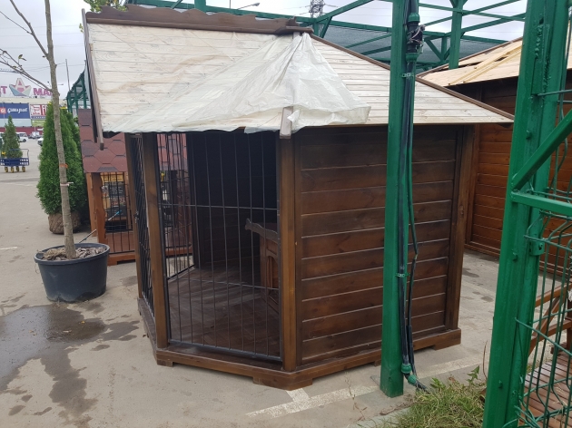 Aviary With One-Level Kennel