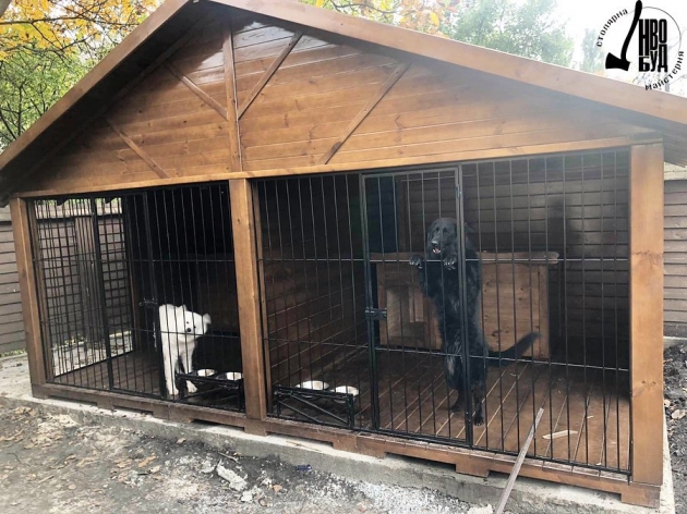 Aviary Kennel (0230)