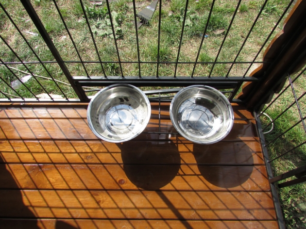 Aviary Kennel (0186)