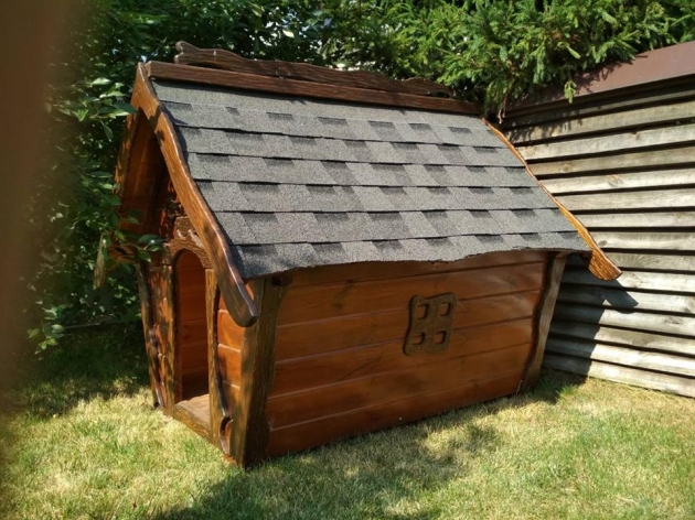 Big Kennel (0176)