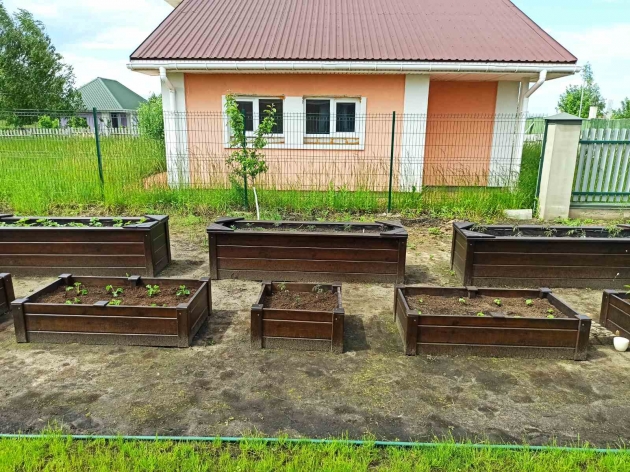 Декоративні грядки