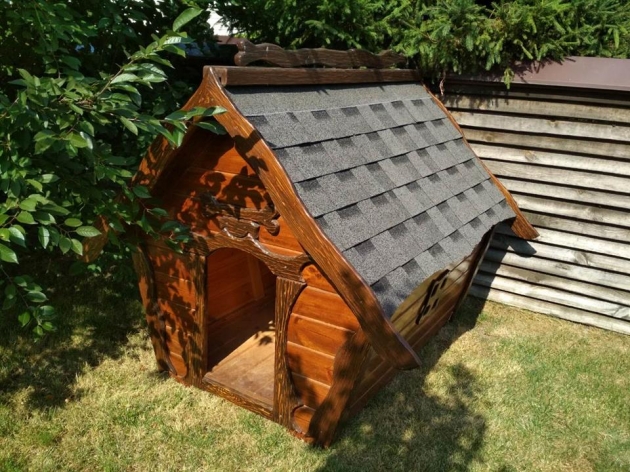 Big Kennel (0176)