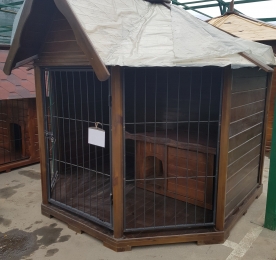 Aviary With One-Level Kennel