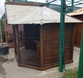 Aviary With One-Level Kennel