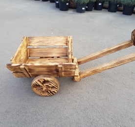 Віз декоративний