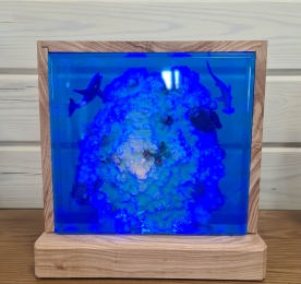 СВІТИЛЬНИК CORAL