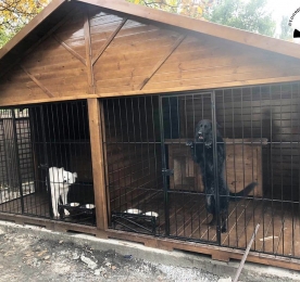Aviary Kennel (0230)