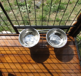 Aviary Kennel (0186)