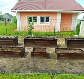 Декоративні грядки