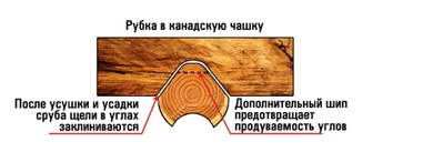 tehnology1.jpg.pagespeed.ce.O65YLQuv9o
